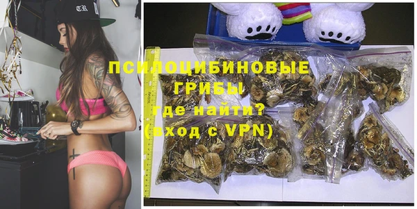 спиды Арсеньев