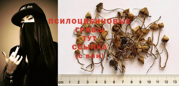 спиды Арсеньев