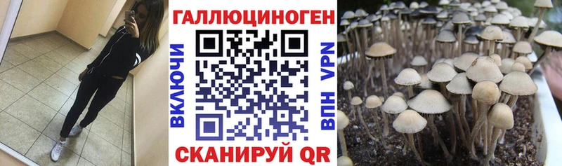 Псилоцибиновые грибы Psilocybe Алагир